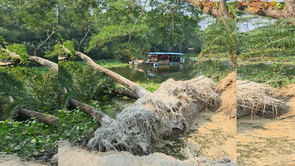 কোটালীপাড়ায় ড্রেজার দিয়ে খাল খনন, সড়ক ভেঙে খালে